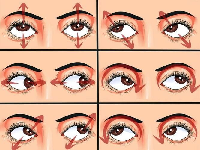 Eye movements in gymnastics to restore vision
